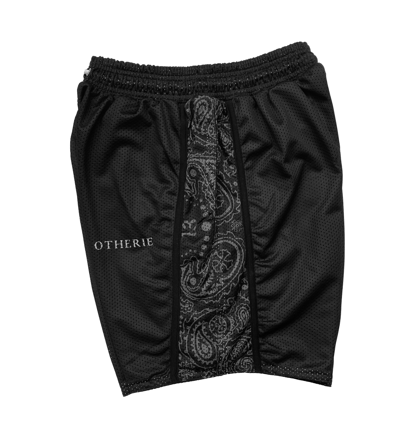 "Dusk Paisley" Mesh Shorts